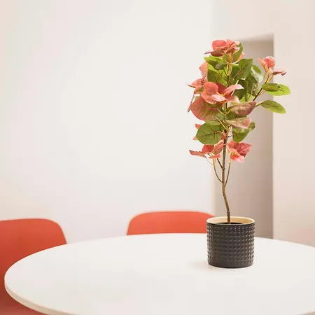 Appartement Acquario House