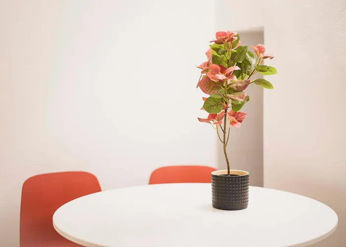 Apartmán Acquario House